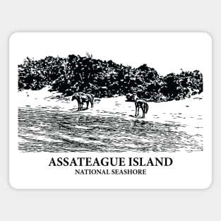Assateague Island National Seashore Magnet